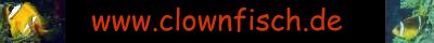 clownfisch.de - Taucherseite